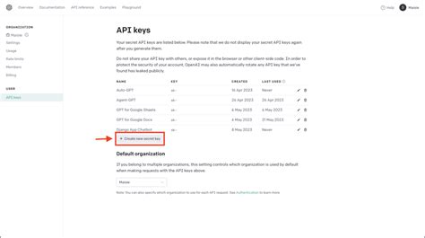 where can i find my Secret API Key .
